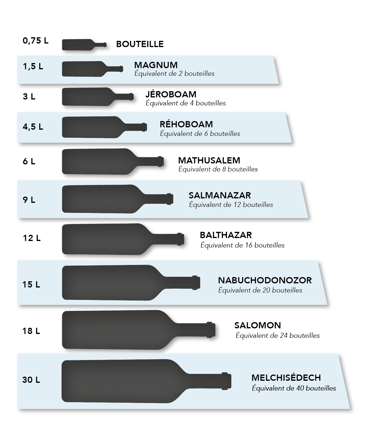 Les déclinaisons de bouteilles infographie vins